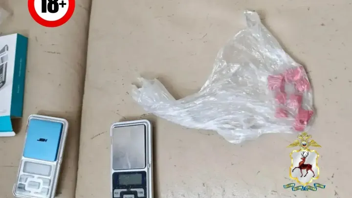 В Нижнем Новгороде супругов подозревают в попытке сбыта наркотиков — Нижний Новгород Сейчас