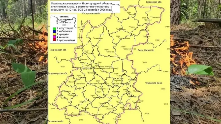 В лесах Нижегородской области установился 3 класс пожароопасности — Нижний Новгород Сейчас