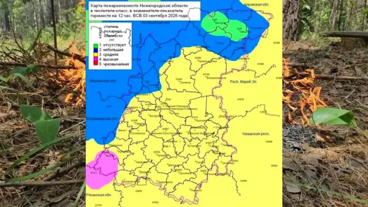 В двух округах Нижегородской области запретили посещать леса из-за пожароопасности — Нижний Новгород Сейчас