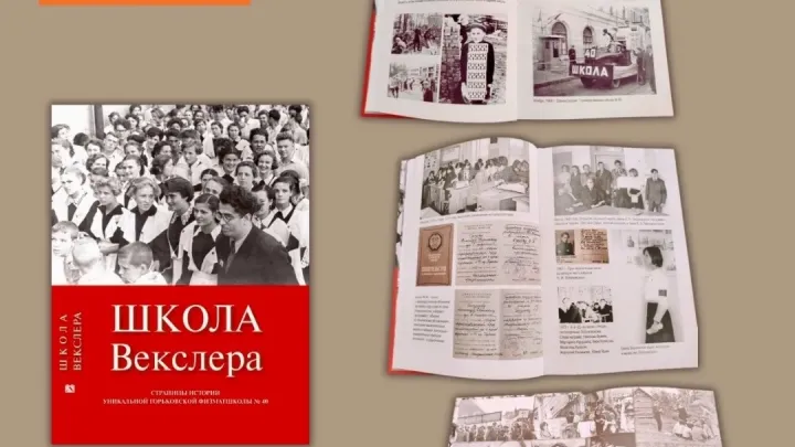 Нижегородская областная библиотека рассказала о книге «Школа Векслера» — Нижний Новгород Сейчас