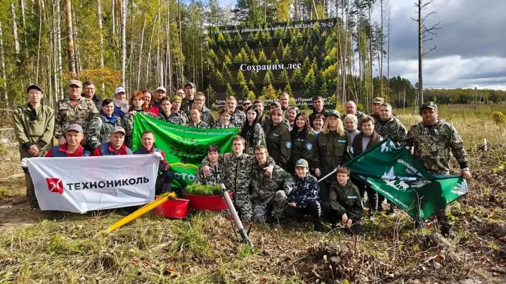 В Семёновском районе восстановили 2,4 га леса и высадили 5000 сосен — Нижний Новгород Сейчас