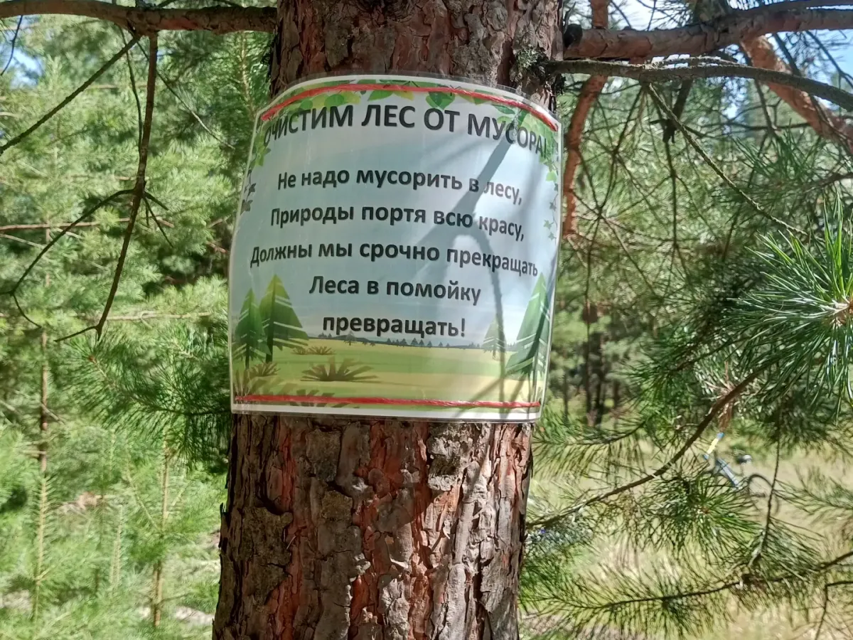 В Кулебакском лесничестве благоустроили лесную зону отдыха