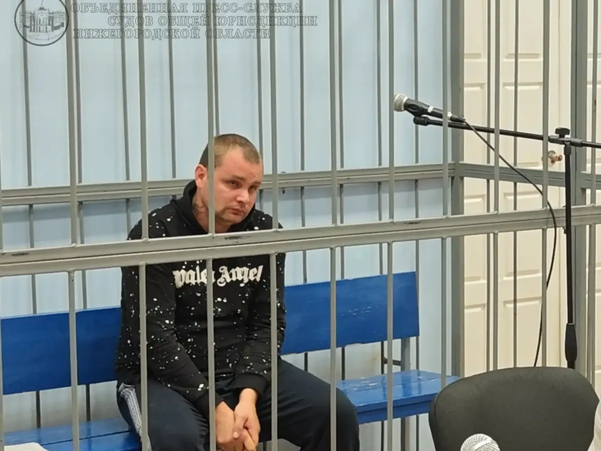 Суд в Нижегородской области арестовал подозреваемых в покушении на убийство