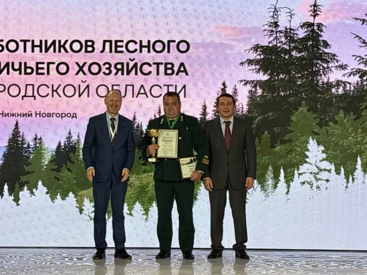 В Нижегородской области назвали победителей профессионального конкурса лесного и охотничьего хозяйства