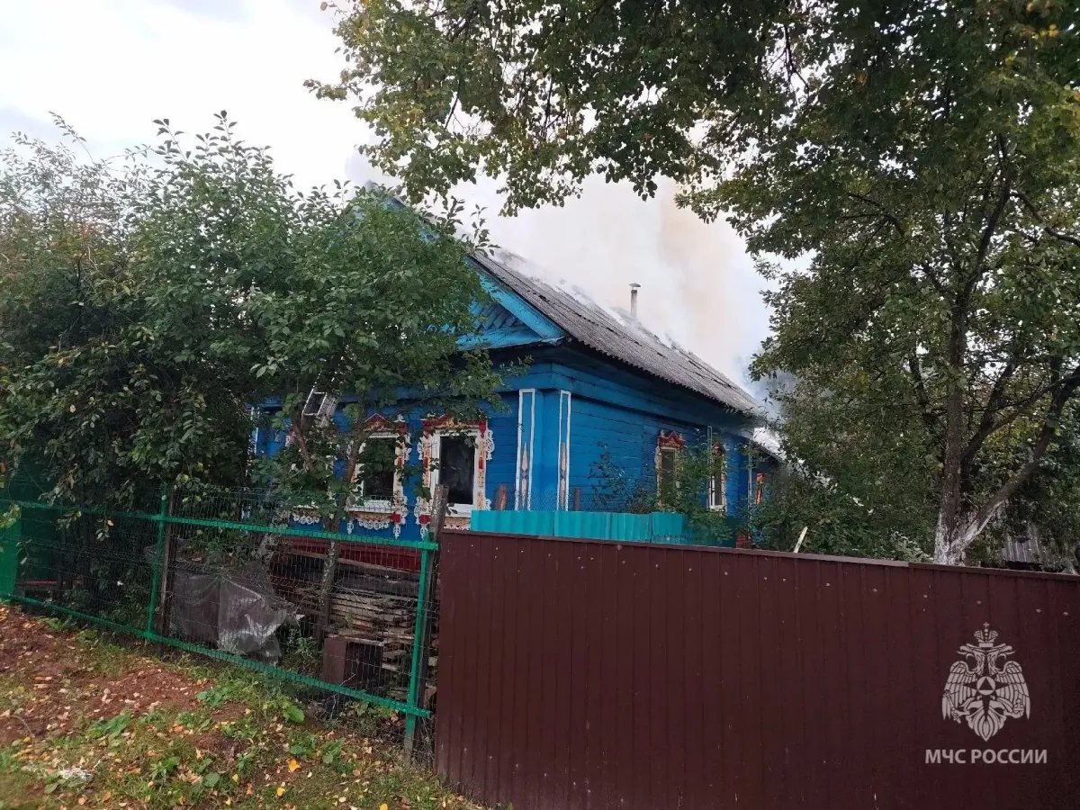 В Шахунье мужчина погиб при пожаре в частном доме на улице Луговой