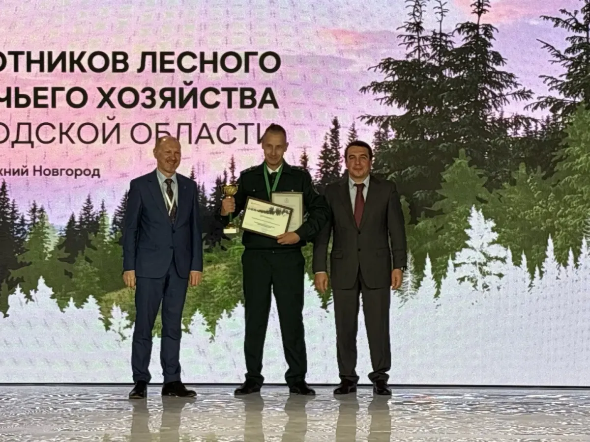 В Нижегородской области назвали победителей профессионального конкурса лесного и охотничьего хозяйства