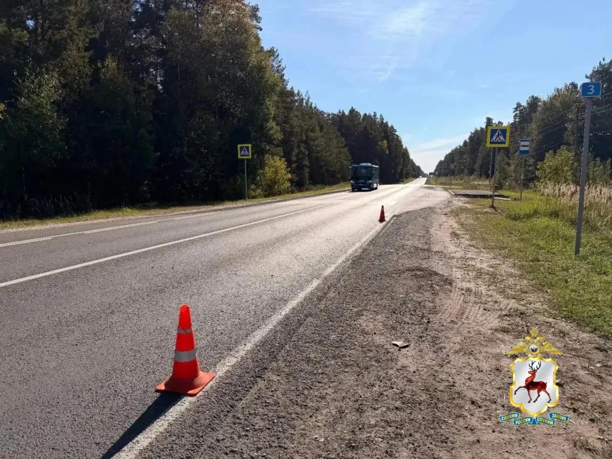 В Выксе возбуждено дело по факту ДТП, в котором погибла пенсионерка