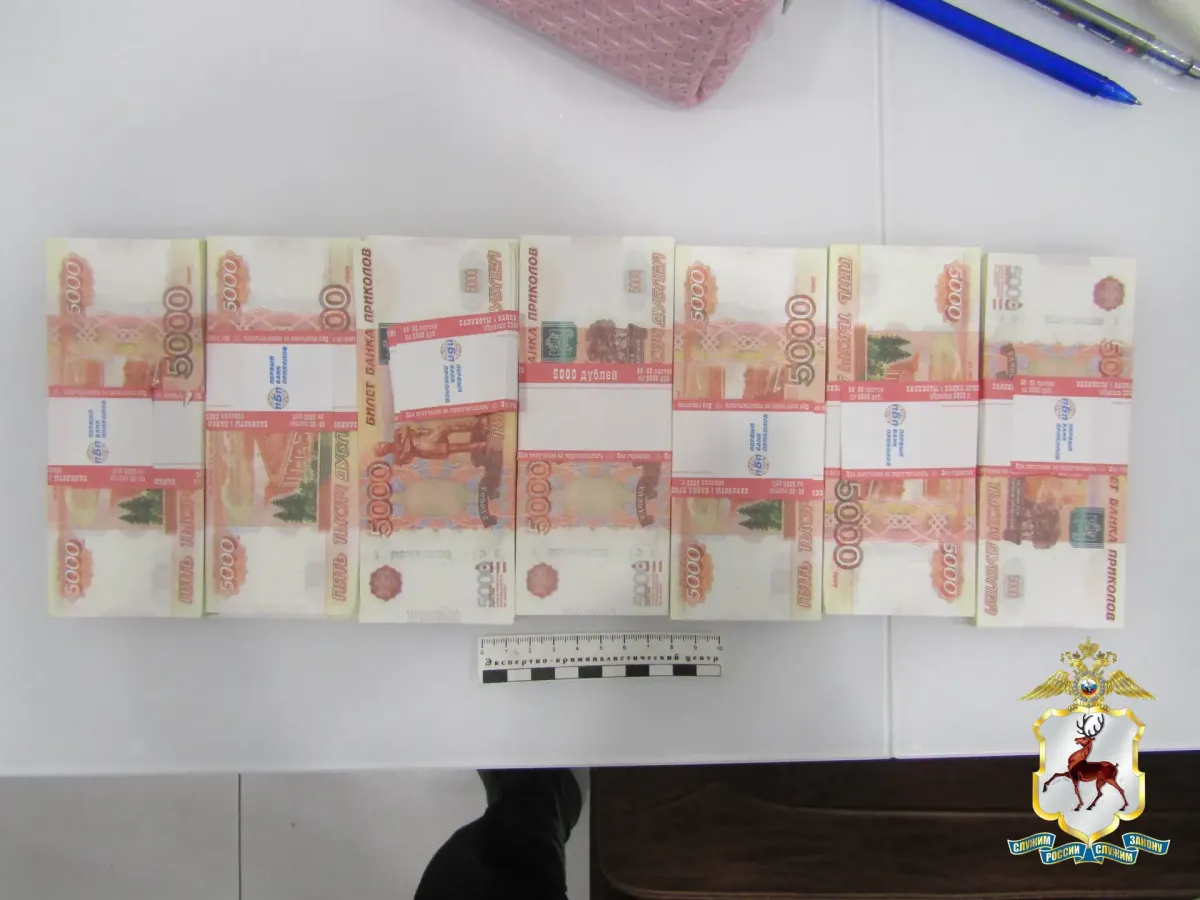 В Дзержинске полиция задержала мужчину, похитившего 5 млн рублей у пенсионерки