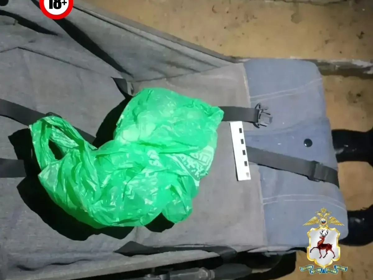 В Сормовском районе у повара изъяли 576 граммов каннабиса