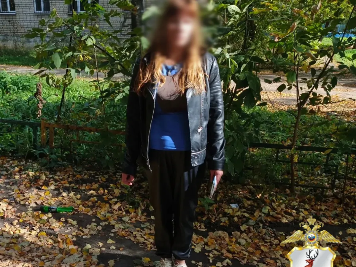 В Нижнем Новгороде задержали женщину по делу об угоне иномарки