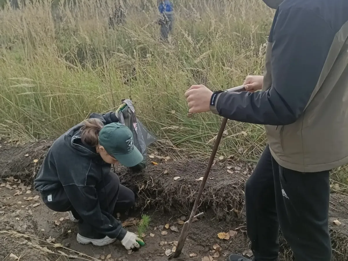 В Шатковском округе посадили лесные насаждения в рамках акции «Сохраним лес»
