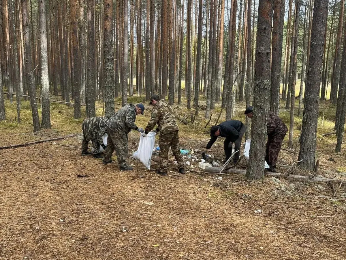 В Ветлужском лесничестве убрали несанкционированную свалку