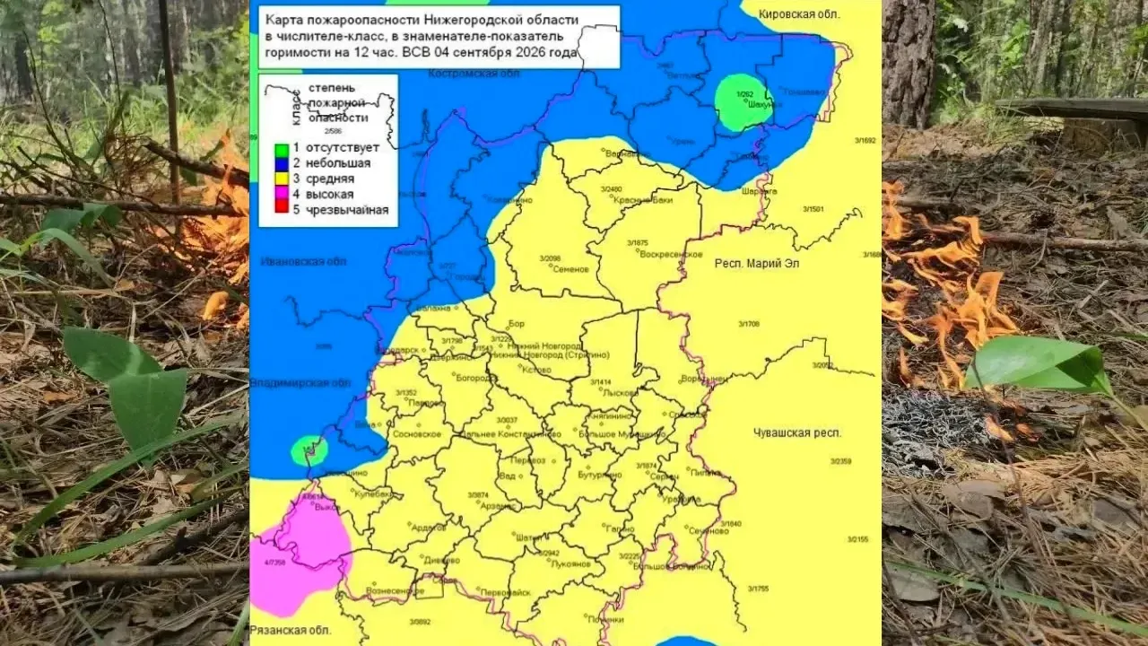 В лесах Нижегородской области установились 2, 3 и 4 классы пожароопасности — Нижний Новгород Сейчас