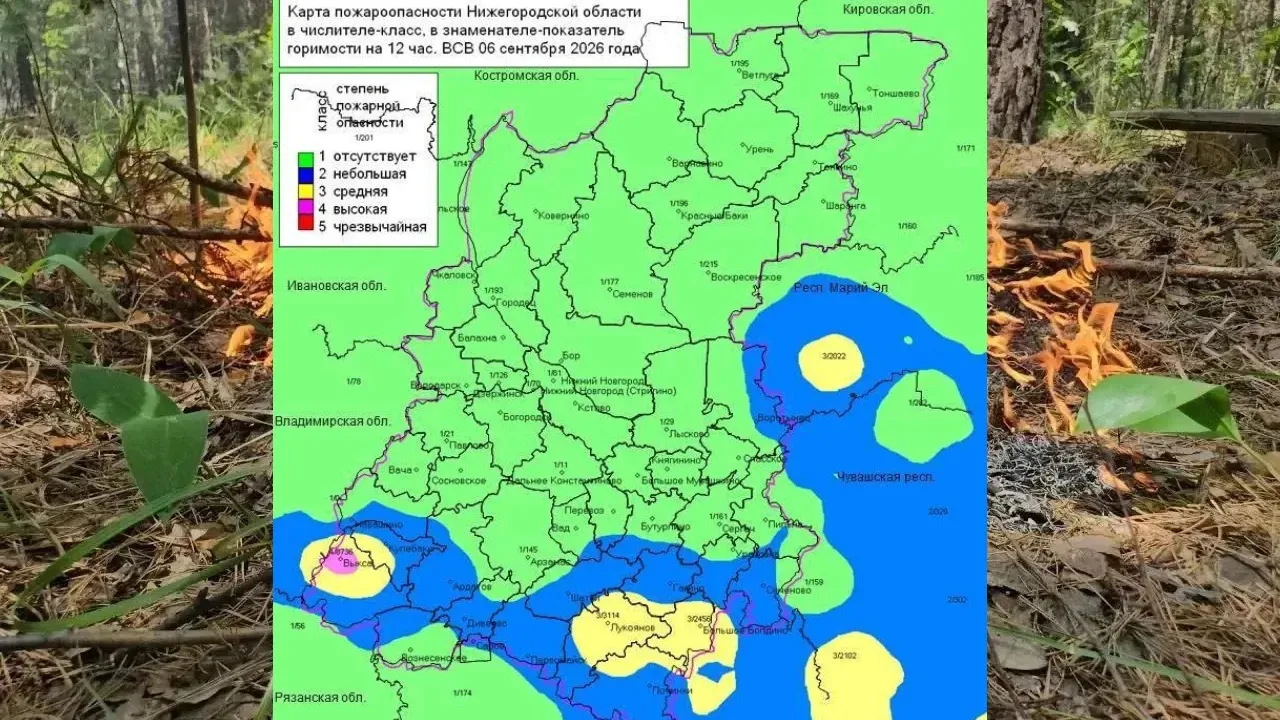 В Нижегородской области местами введён 4-й класс пожароопасности в лесах — Нижний Новгород Сейчас