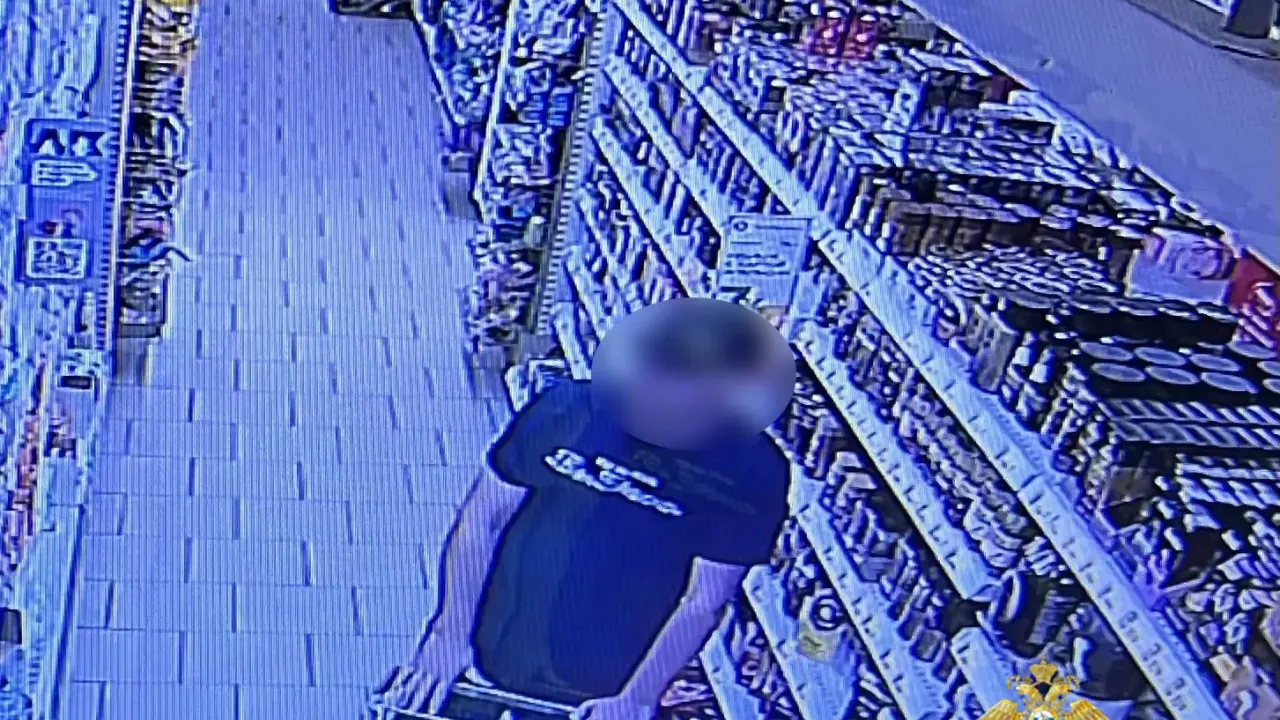 В Починках раскрыли серию краж детского питания из магазинов — Нижний Новгород Сейчас