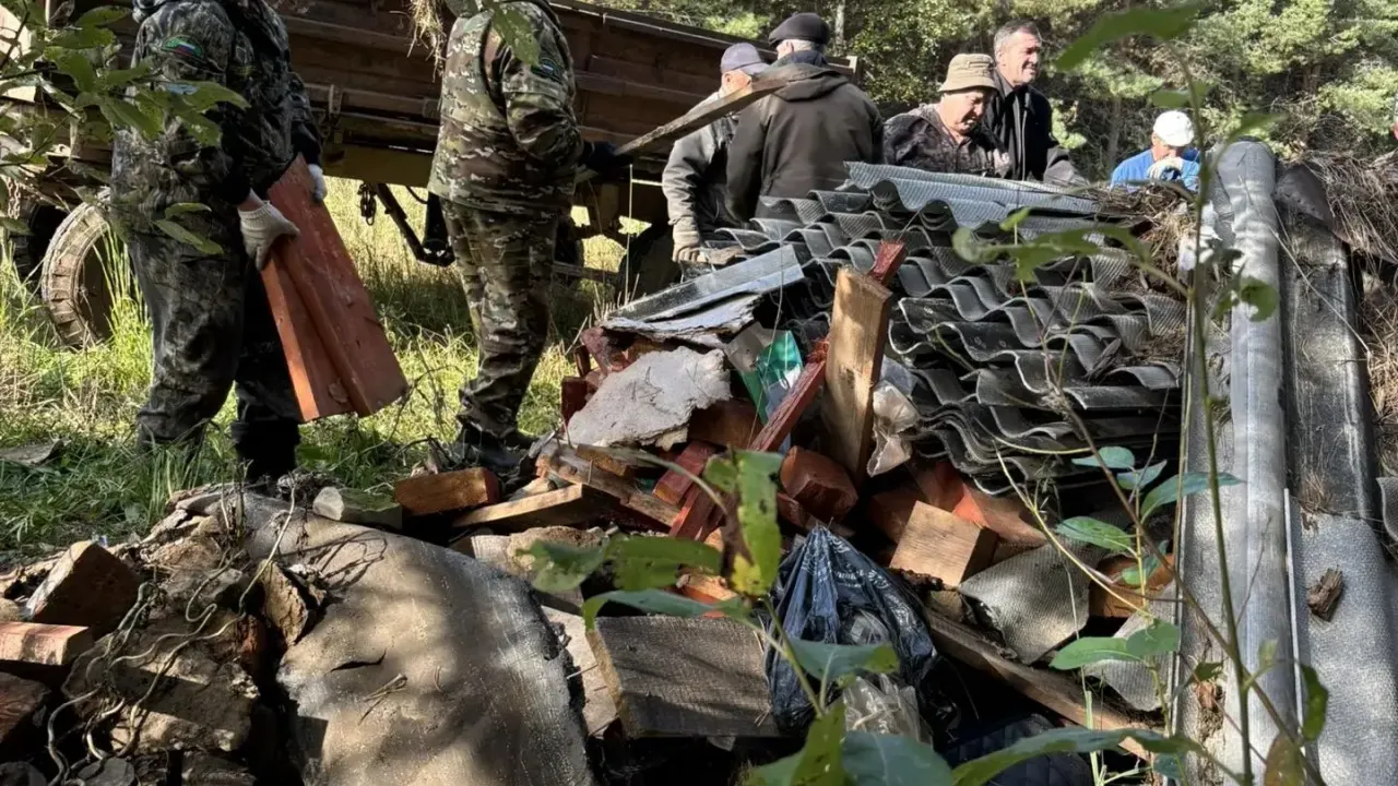 В селе Ошминское ликвидировали свалку объемом 12 кубометров — Нижний Новгород Сейчас
