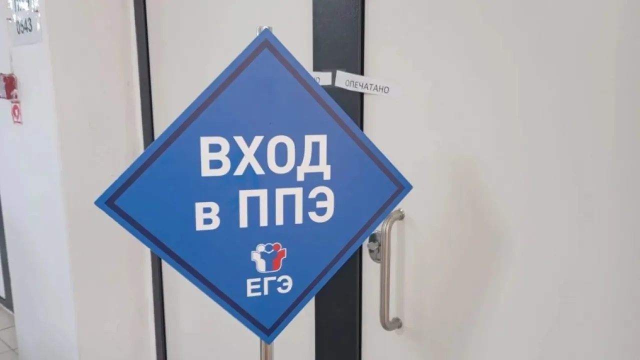 103 нижегородца сдали ЕГЭ по математике в дополнительный период — Нижний Новгород Сейчас
