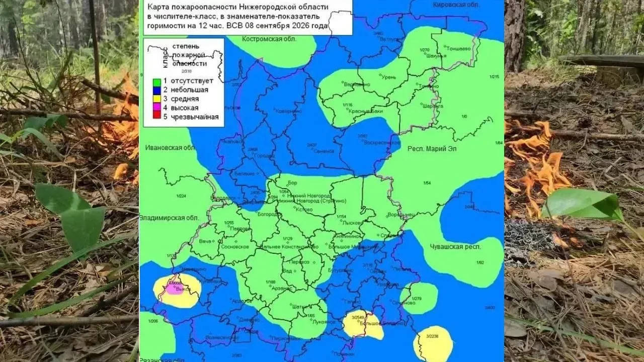 В Нижегородской области установились 1–4 классы пожароопасности в лесах — Нижний Новгород Сейчас