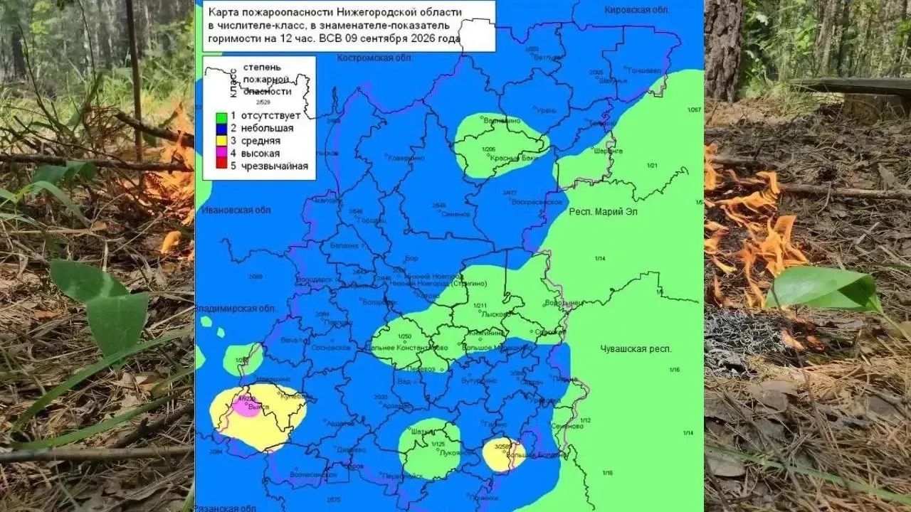 В лесах Нижегородской области установлен разный класс пожароопасности — Нижний Новгород Сейчас