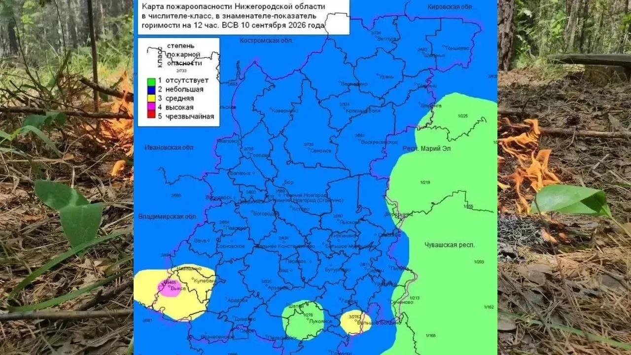 В лесах Нижегородской области местами установлен 4-й класс пожароопасности — Нижний Новгород Сейчас