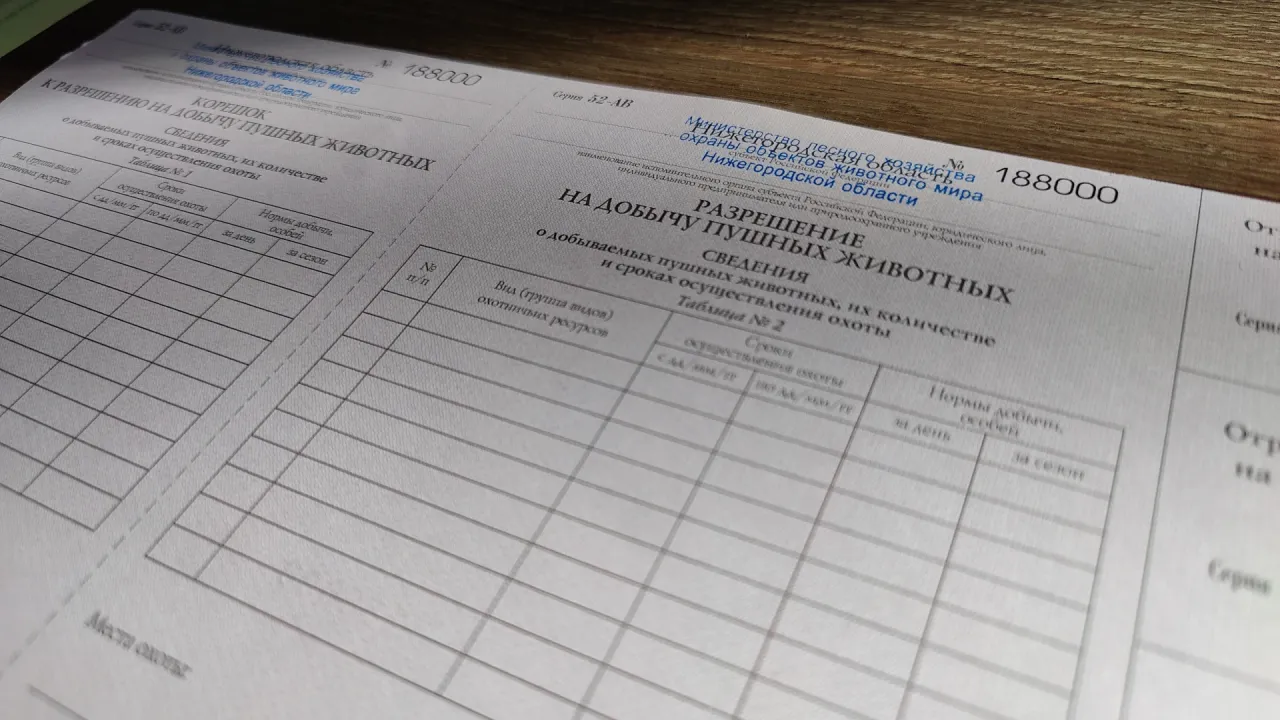 В Нижегородской области выдали более 4100 разрешений на добычу пернатой дичи — Нижний Новгород Сейчас