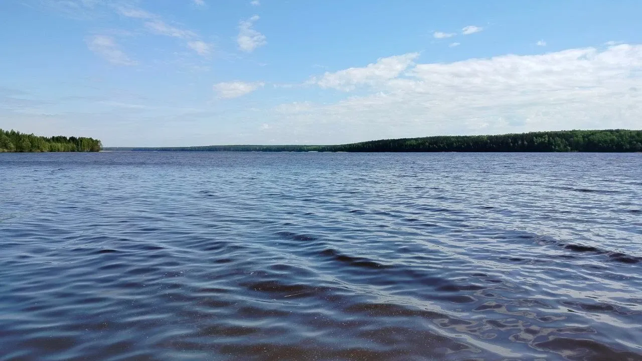 В Нижегородской области в 2026 году промысел ведут 18 пользователей на 30 участках — Нижний Новгород Сейчас