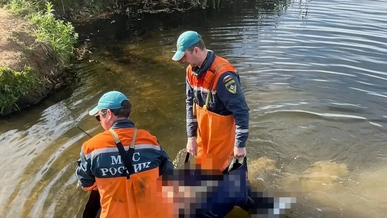 На озере Спасское в Борском округе из воды извлекли тело женщины — Нижний Новгород Сейчас