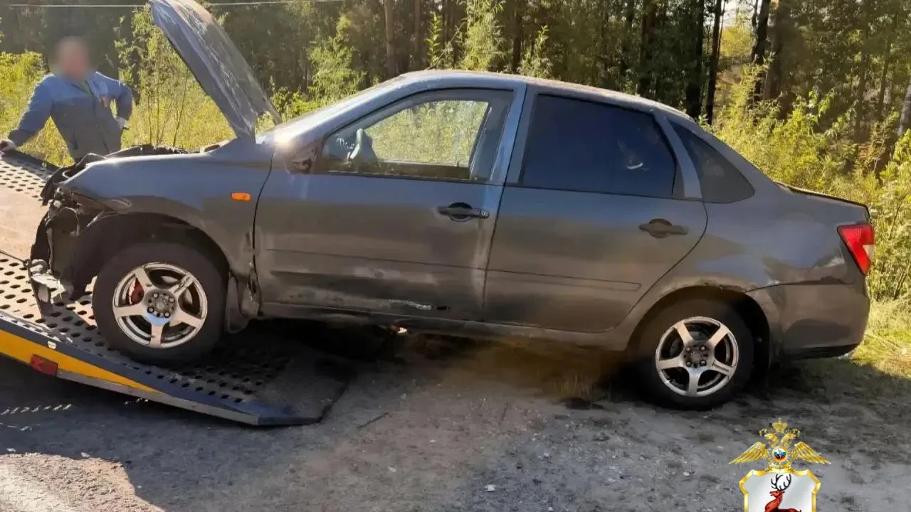 В Выксе возбуждено дело по факту ДТП, в котором погибла пенсионерка — Нижний Новгород Сейчас