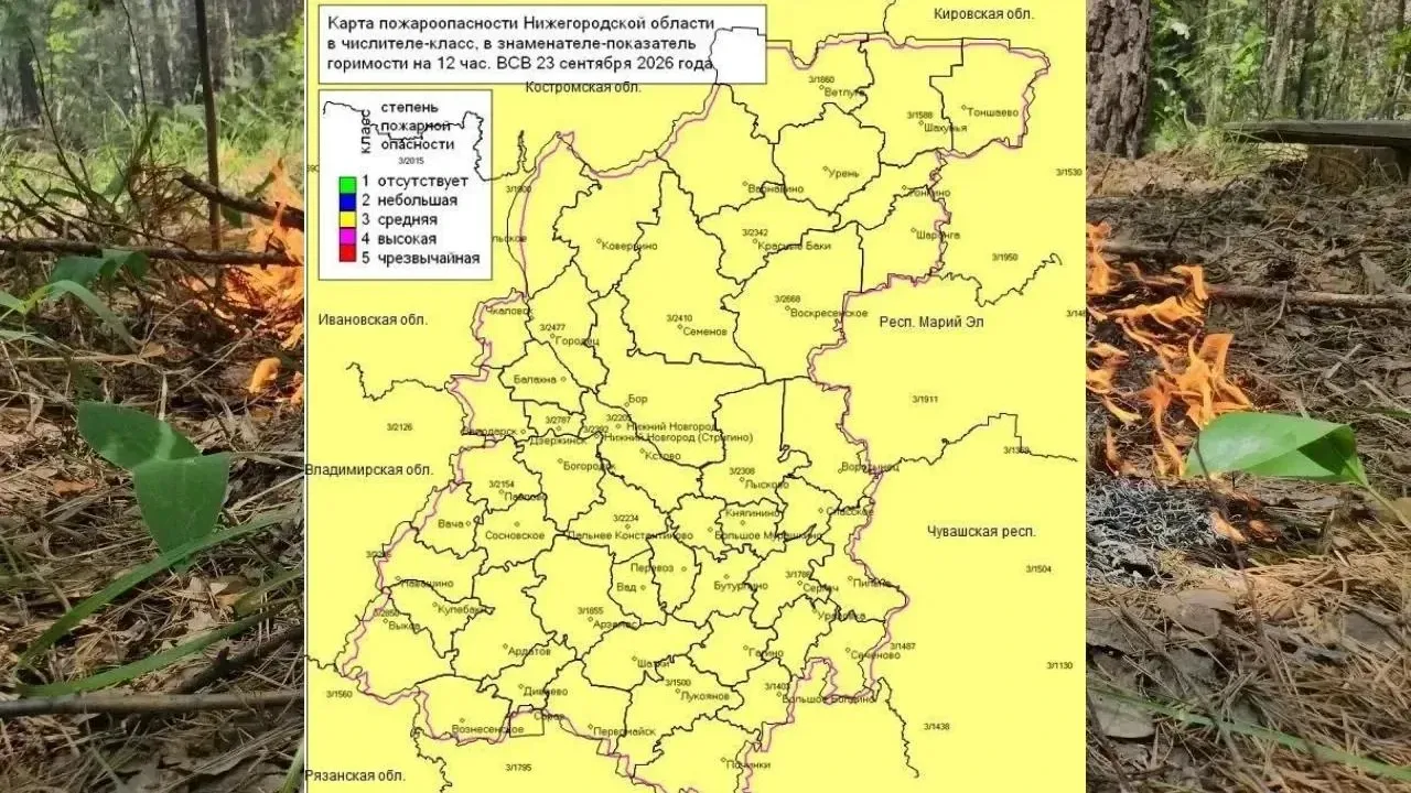 В лесах Нижегородской области установился 3 класс пожароопасности — Нижний Новгород Сейчас