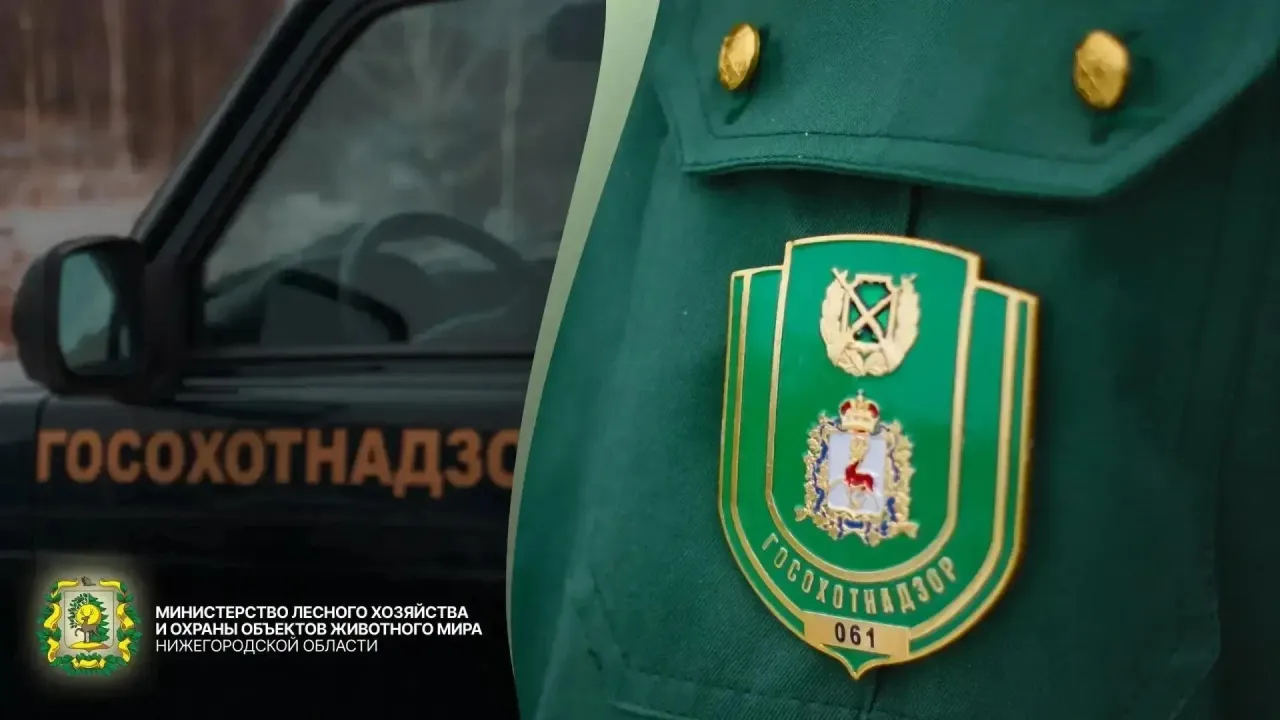 Госохотинспекторы за неделю выявили 6 нарушений в Нижегородской области — Нижний Новгород Сейчас