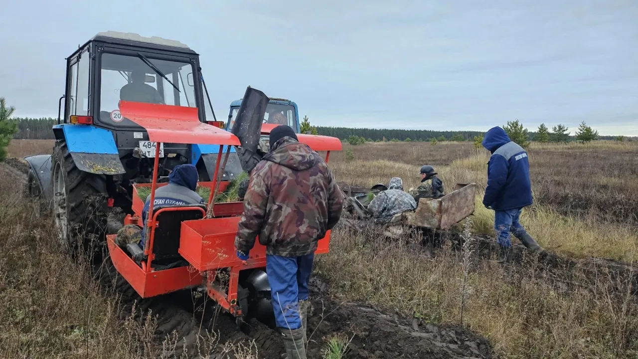 В Нижегородской области в 2026 году создадут новые леса на площади более 334 гектаров — Нижний Новгород Сейчас