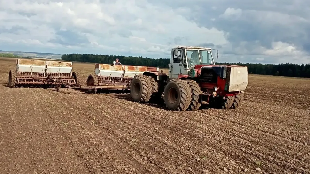В Нижнем Новгороде озимый сев выполнен на 80% от плана — Нижний Новгород Сейчас