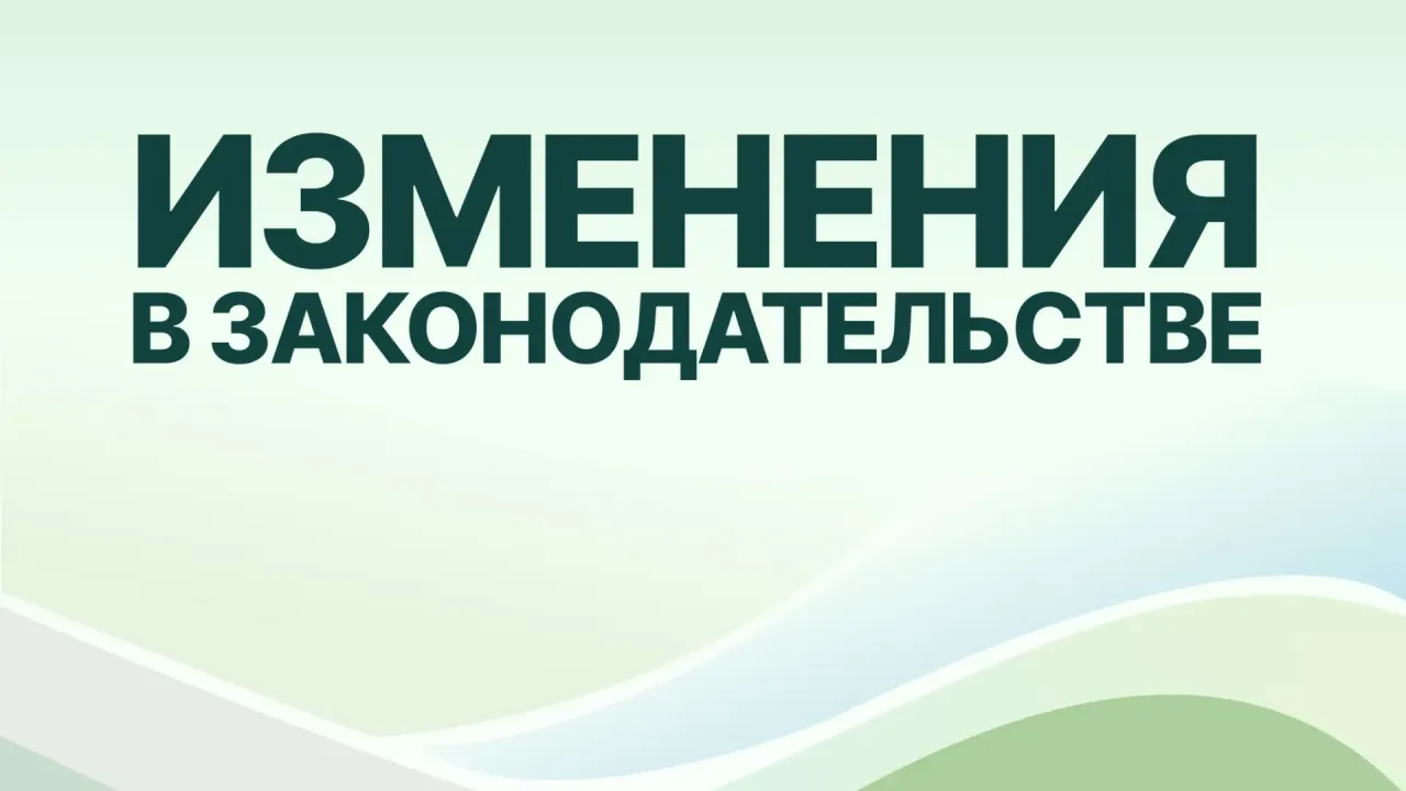 Вступили в силу новые нормативные акты по защите лесов от вредителей — Нижний Новгород Сейчас