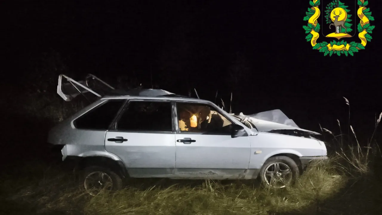 В Балахнинском округе произошло смертельное ДТП после столкновения с лосем — Нижний Новгород Сейчас