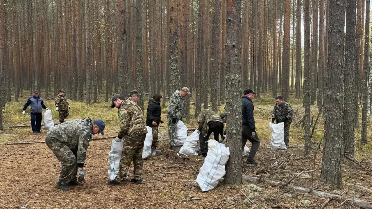 В Ветлужском лесничестве убрали несанкционированную свалку — Нижний Новгород Сейчас