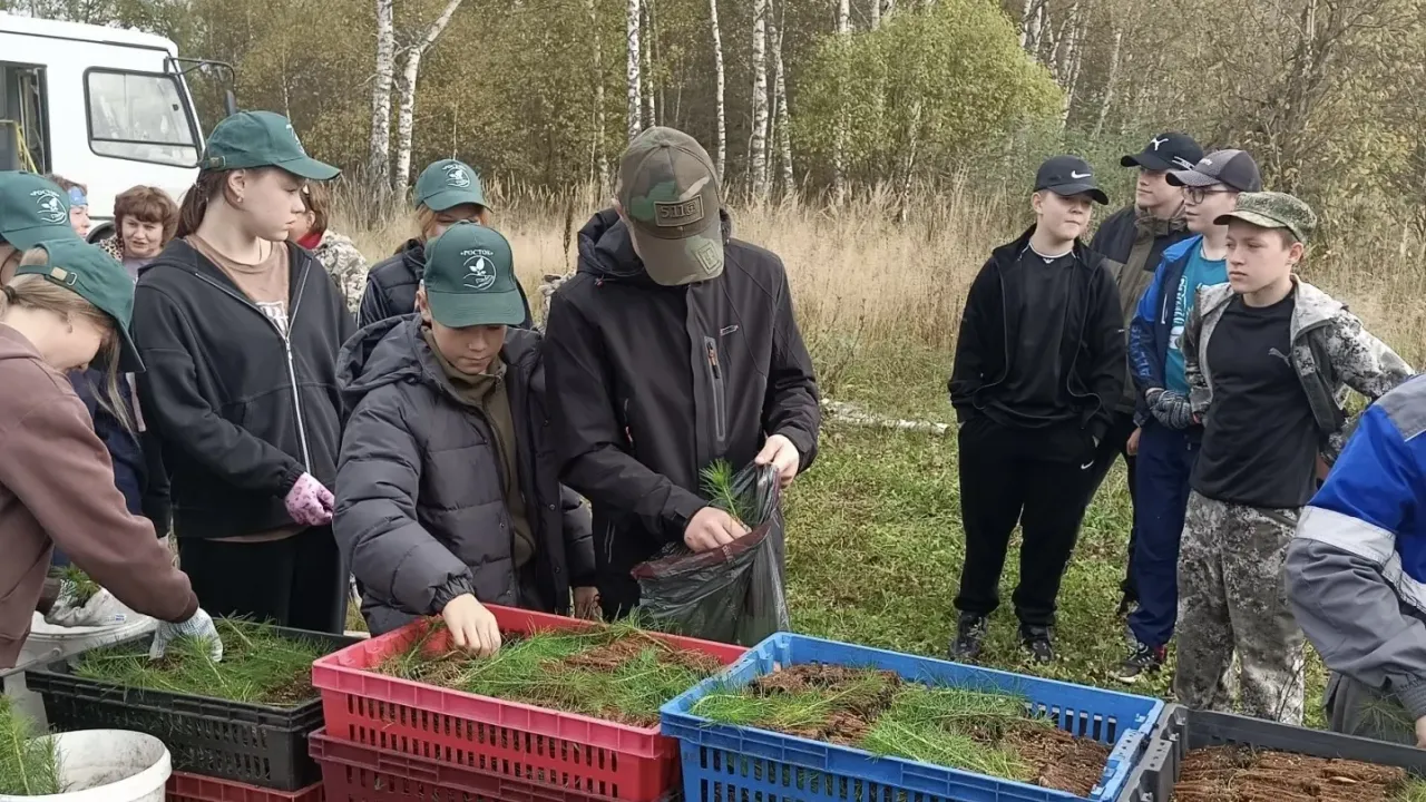 В Шатковском округе посадили лесные насаждения в рамках акции «Сохраним лес» — Нижний Новгород Сейчас