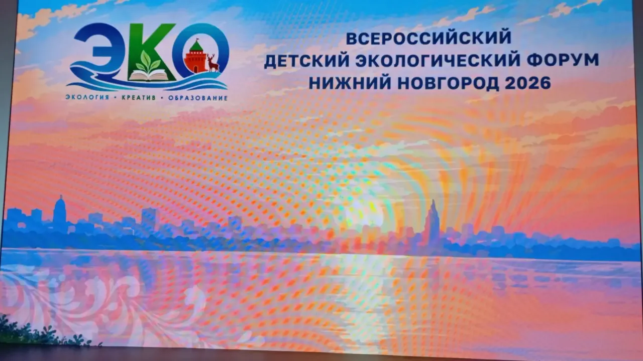 В Нижнем Новгороде 150 школьников представили экологические проекты на всероссийском форуме — Нижний Новгород Сейчас