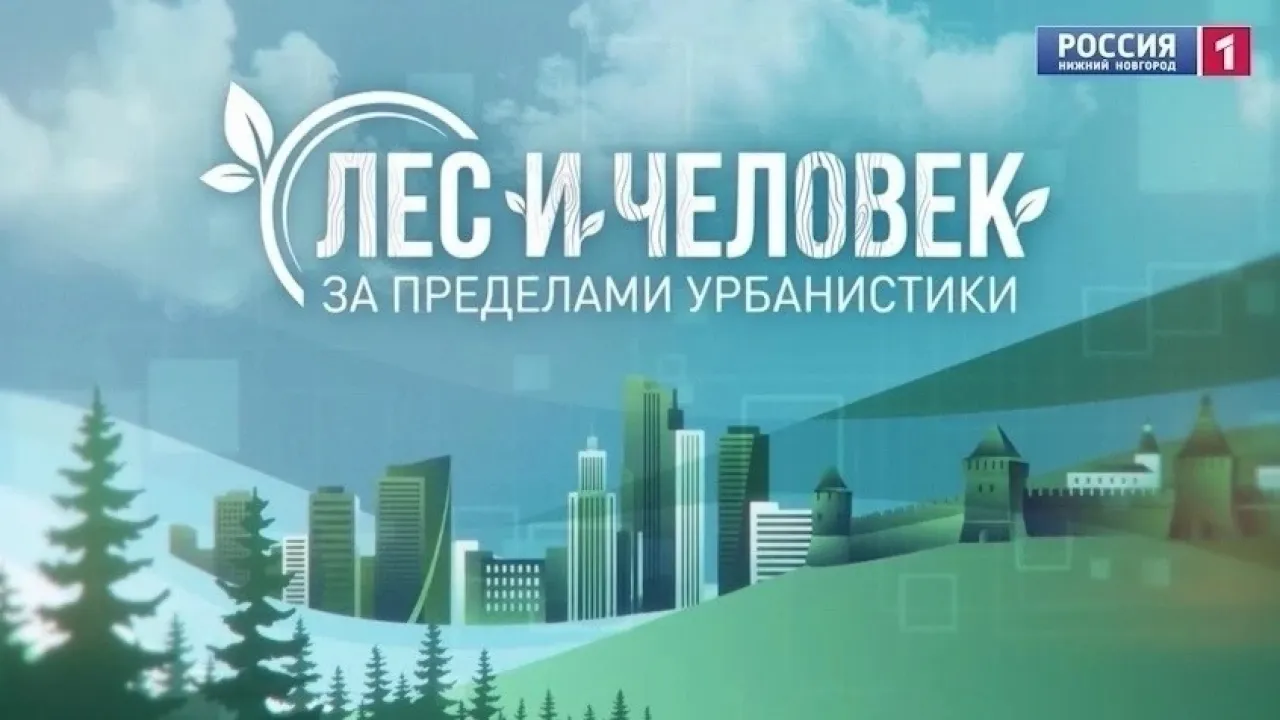 Вышел анонс восьмого выпуска программы «Лес и человек. За пределами урбанистики» — Нижний Новгород Сейчас