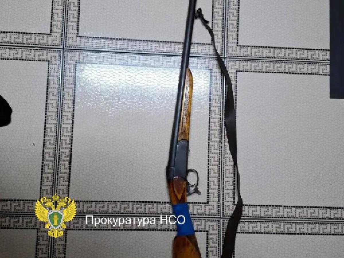 В Карасукском районе осудили двух мужчин за незаконную добычу косуль