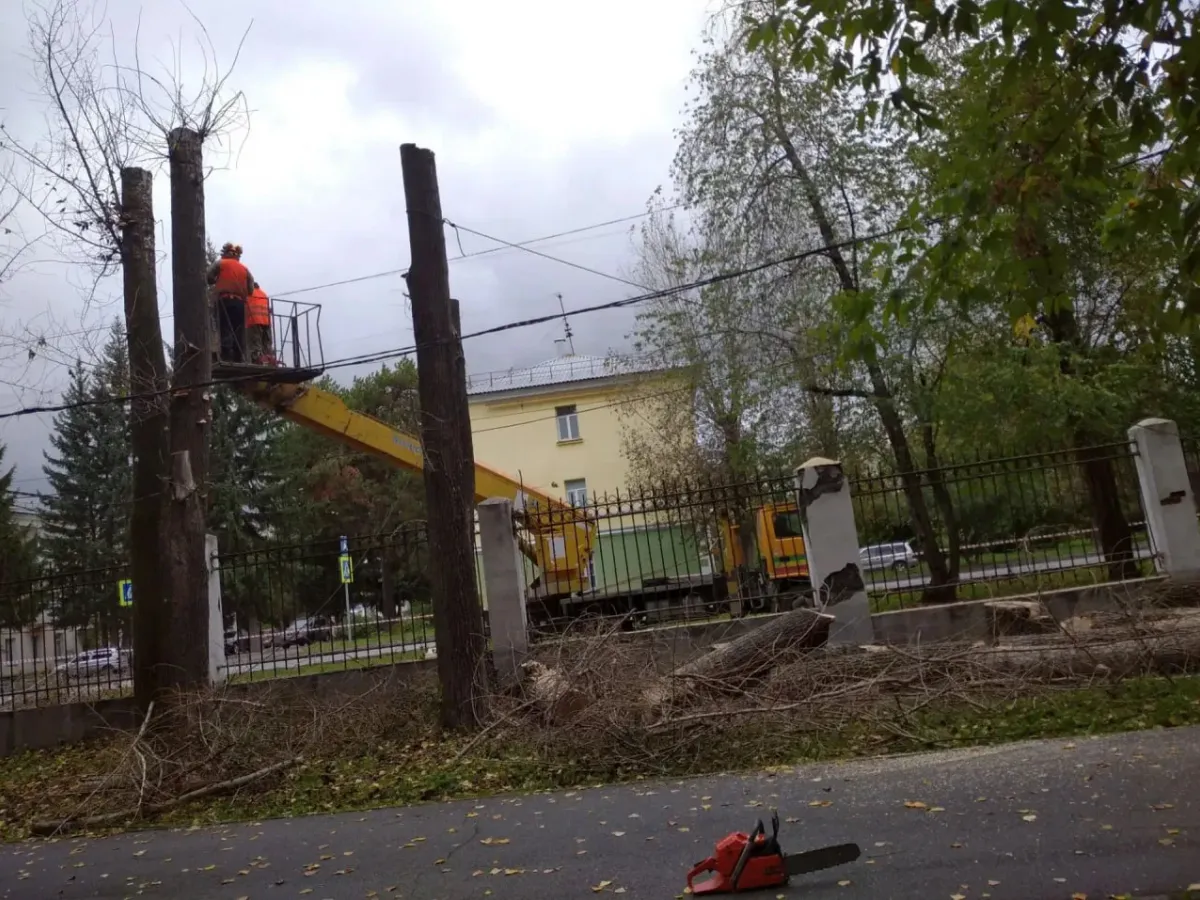 В парке «Первомайский» в Новосибирске начались работы по обрезке и сносу деревьев