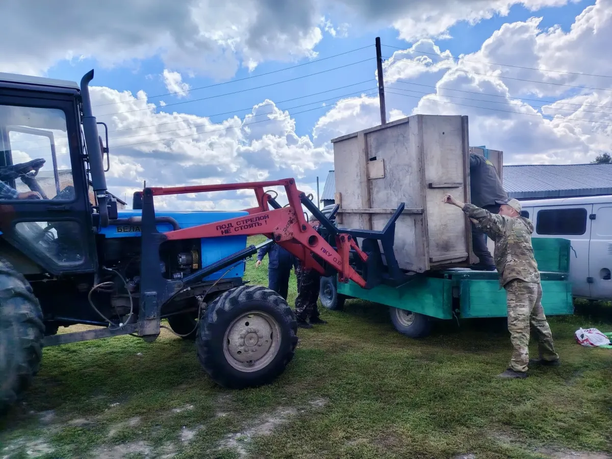 Двух годовалых лосей из Новосибирского зоопарка перевезли в заказник «Сузунский»