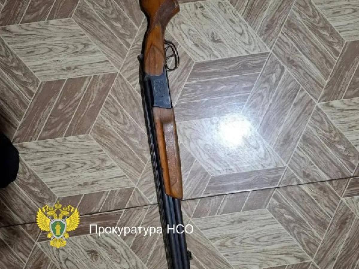 В Карасукском районе осудили двух мужчин за незаконную добычу косуль