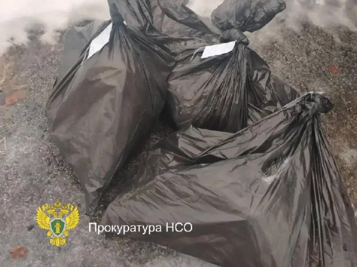 В Карасукском районе осудили двух мужчин за незаконную добычу косуль