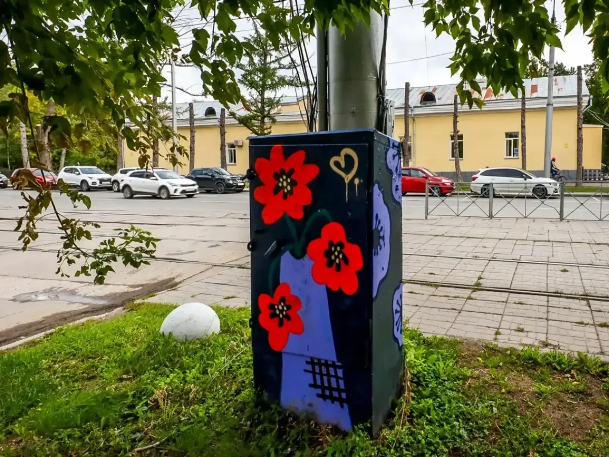 В Новосибирске уличные художники раскрасят 50 коммуникационных шкафов
