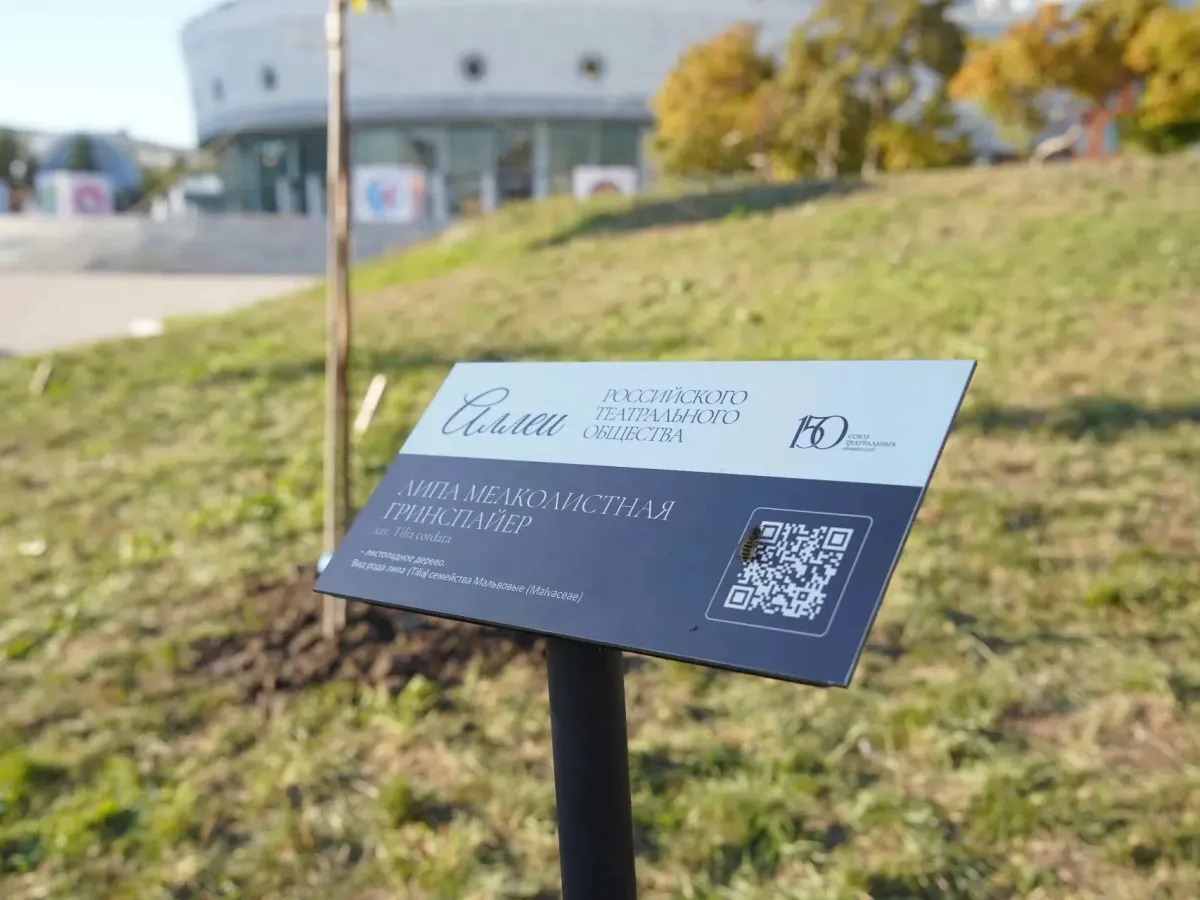 В Новосибирске у театра «Глобус» высадили Театральную аллею из шести лип
