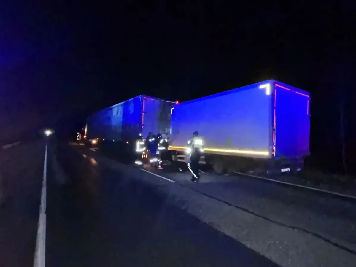 В Барабинском районе водитель погиб в ДТП на трассе Р-254 «Иртыш»