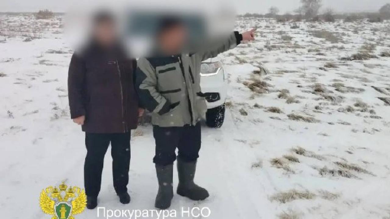 В Карасукском районе осудили двух мужчин за незаконную добычу косуль — Новосибирск Сейчас