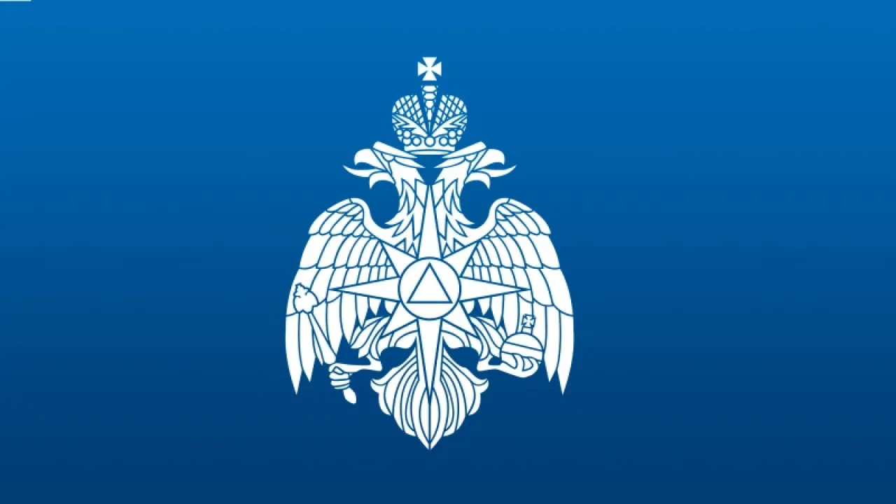 В Новосибирской области объекты голосования перевели под контроль сотрудников МЧС — Новосибирск Сейчас