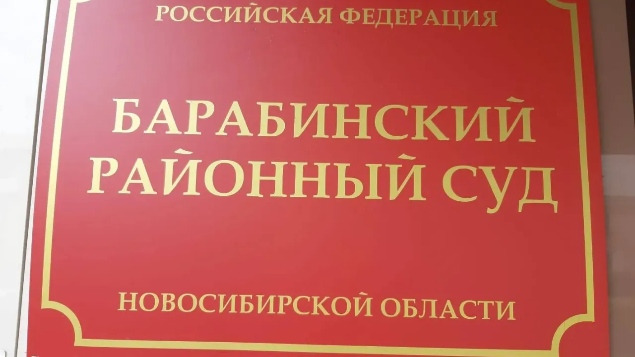 Жительницу Новосибирской области осудили за оскорбление участника заседания — Новосибирск Сейчас