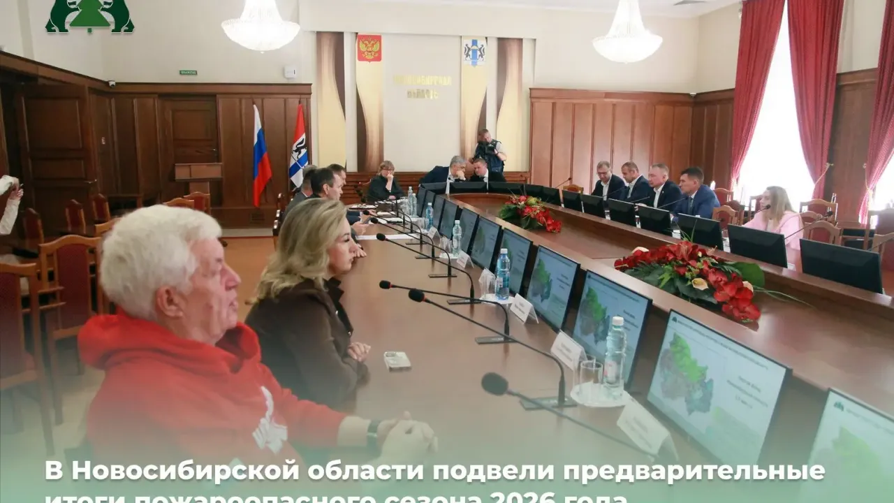 В регионе за пожароопасный сезон зафиксировали 55 лесных пожаров на площади 2,1 тыс. га — Новосибирск Сейчас